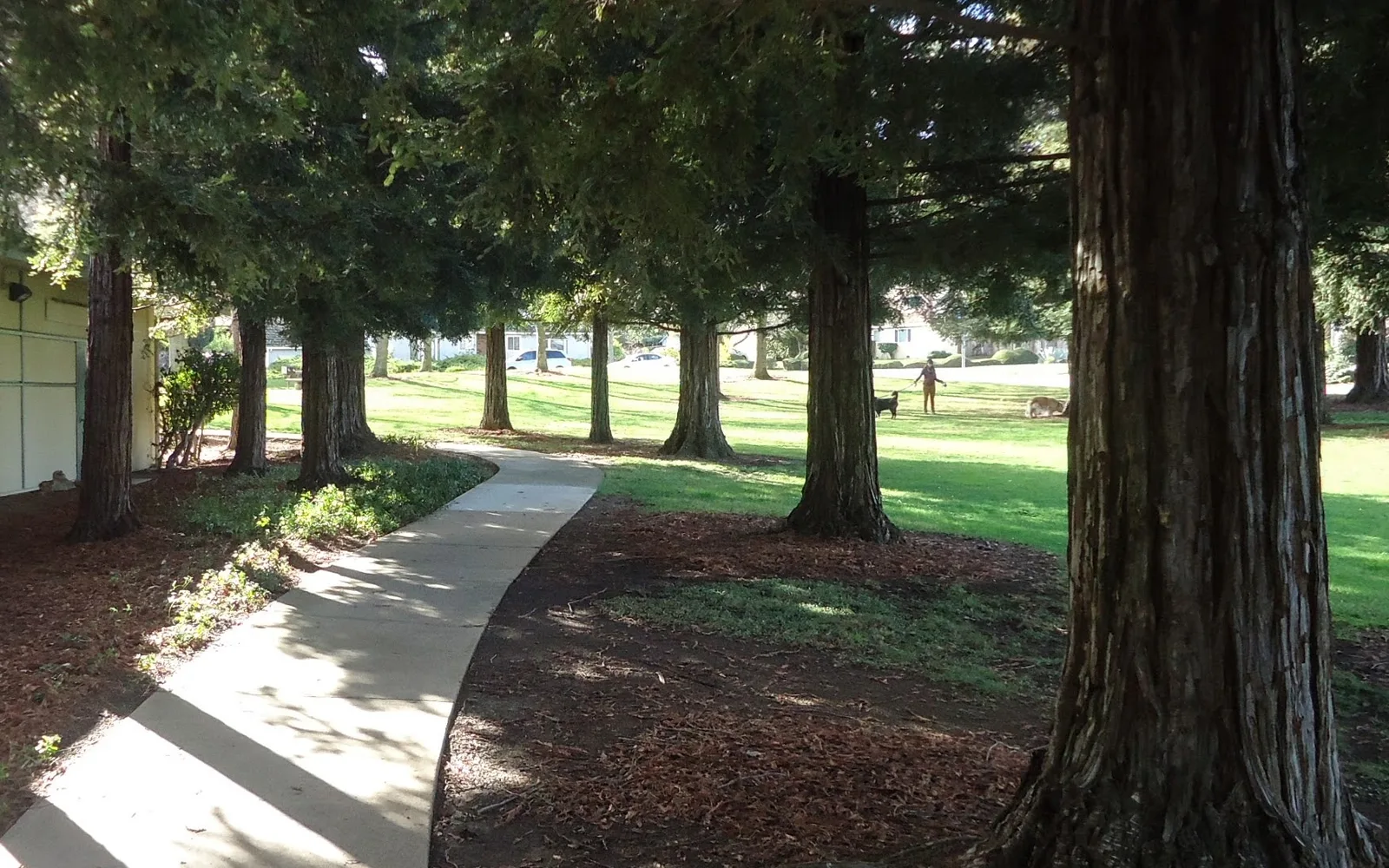 Community park pathway with trees and landscaping in a California public park